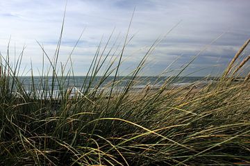 Sea view Westkapelle