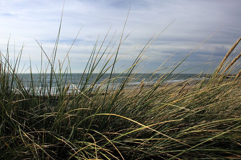 Vue sur la mer Westkapelle par MSP Canvas