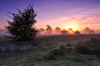 Farbenfroher Sonnenaufgang im Naturschutzgebiet De Pan von Ruud Engels Miniaturansicht
