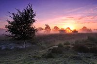Kleurrijke zonsopkomst in Natuurgebied De Pan