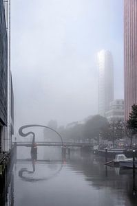 Nebel an der Ibisbrücke