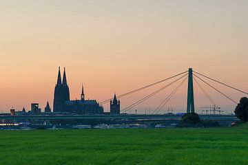 KÖLN 15