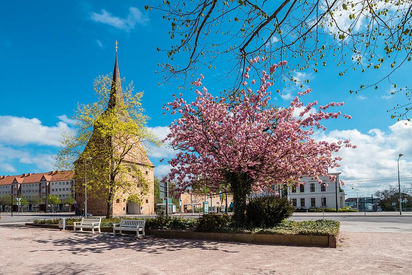 Stenen Poort in de Hanzestad Rostock van Rico Ködder