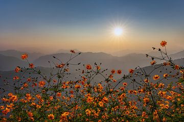 Magnifique coucher de soleil dans les montagnes du Népal