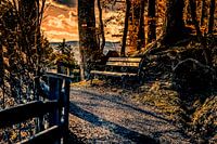 Un banc pour se reposer en montagne