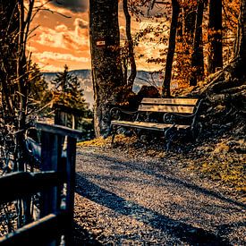 A bench to rest in the mountains van ♥️ photoARTwithHEART ♥️