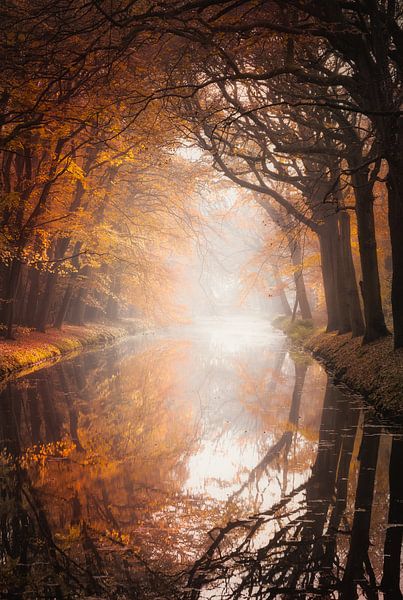 &quot;Two worlds&quot; van Karel Ton