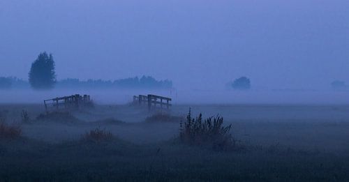 Paysage néerlandais