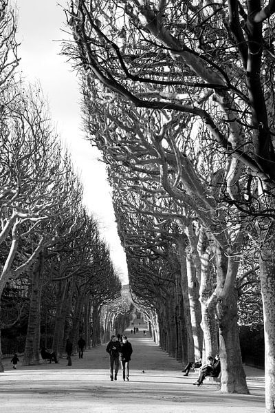 Paris by Pieter Boogaard