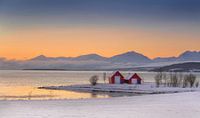 Winter mit roten Häusern in Norwegen von Adelheid Smitt Miniaturansicht