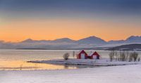 Norwegian Winter landscape with red huts by the sea