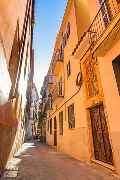 Steegje in de oude stad van Palma de Majorca, Balearen van Alex Winter
