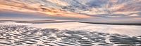 North Sea coast of the Netherlands with the beach in panorama