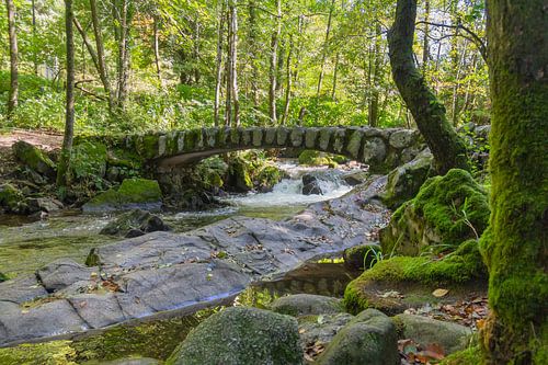 Small bridge on the river Vologne