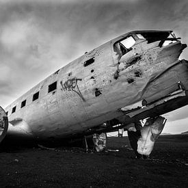 Dakota at Solheimasandur  by Rene Wolf