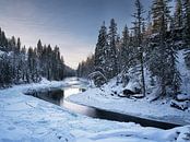 Wells Gray Provincial Park van Luc Buthker thumbnail