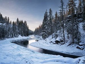 Wells Gray Provincial Park von Luc Buthker