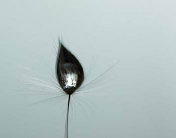 water... water... lint...