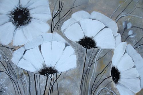White poppy flowers