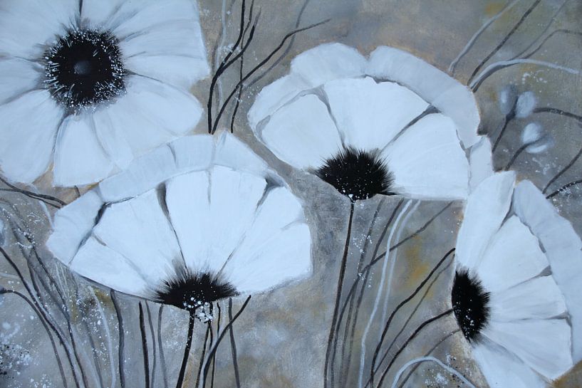 Weiße Mohnblüten von Claudia Neubauer