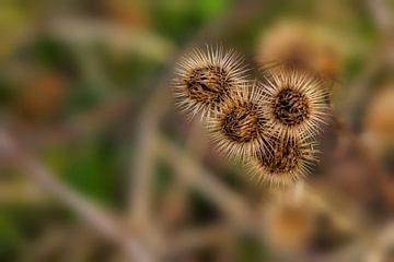 Abstrakte Natur