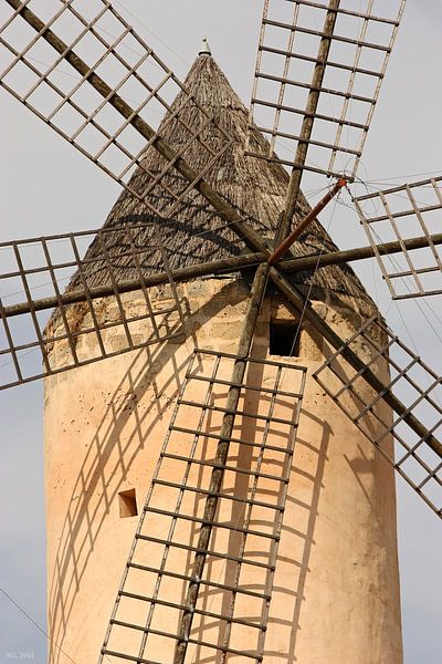 [mallorquin] ... ready for the winds! van Meleah Fotografie