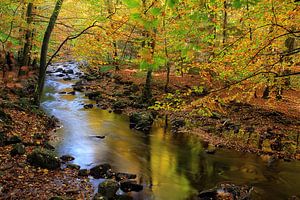 Autumn2017-3