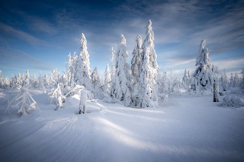 Ice age in the Harz Mountains by Steffen Henze