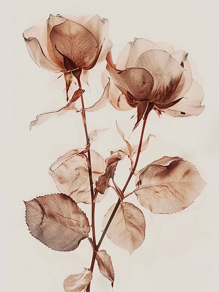 Grandma's roses by haroulita