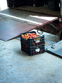 Verdwaalde tomaten 2