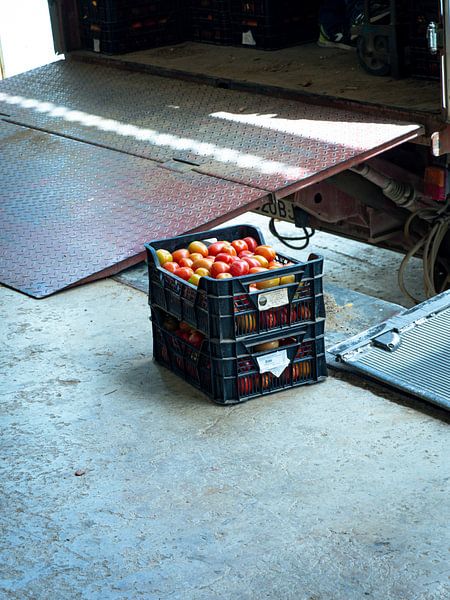 Stray tomatoes 2 by Tatiana Tor Photography