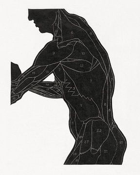 anatomie homme avec des muscles, Reijer Stolk