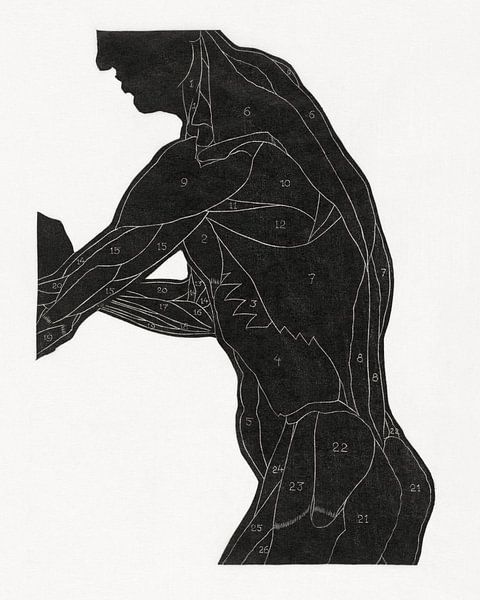 Anatomie Mann mit Muskeln, Reijer Stolk von Atelier Liesjes