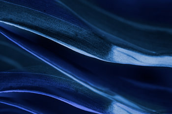 Shades of blue