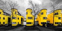 We all live in a yellow home (zwart-wit en geel) by Arjan Schalken thumbnail