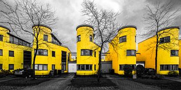 We all live in a yellow home (zwart-wit en geel)