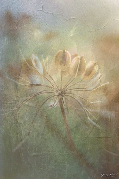 Droog Bloem van Janny Kleijn