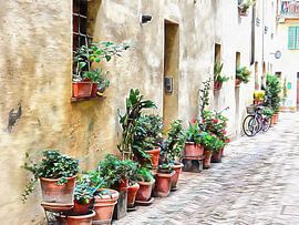 Plant Pots And Bicycles Pienza Tuscany by Dorothy Berry-Lound