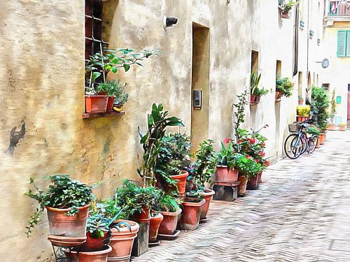 Pots de plantes et bicyclettes Pienza Toscane