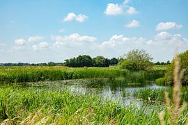 rivier de linde friesland van Tronde tot aan Kuinre van anne droogsma