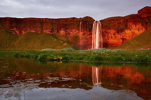 Seljalandsfoss Sunset