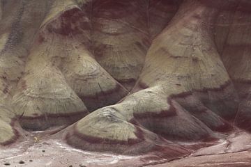 Painted Hills in the John Day Fossil Beds National Monument at Mitchell City, Wheeler County, Northe by Frank Fichtmüller