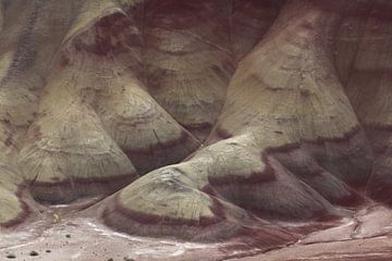 Painted Hills in the John Day Fossil Beds National Monument at Mitchell City, Wheeler County, Northe von Frank Fichtmüller