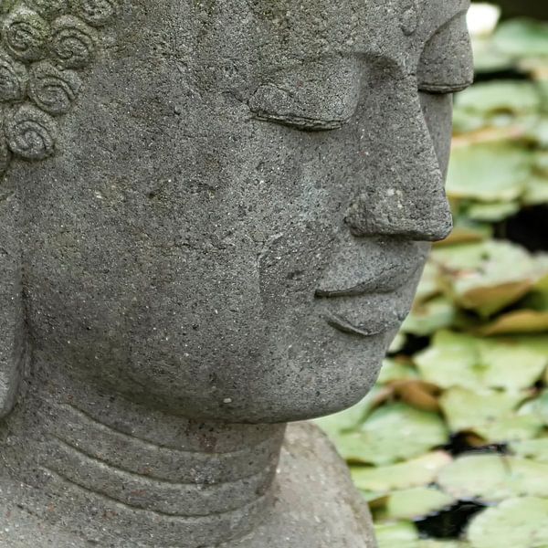 Bouddha par Kirsten Warner