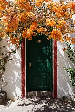 Door decorated with orange coloured flowers by Nicole