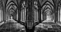 Dom Utrecht