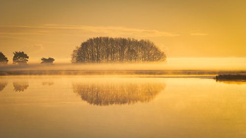 Een mistlaag boven de Davidsplassen.