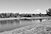 Landschap in Zwart Wit