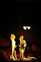 "Harmonie der Flammen"
