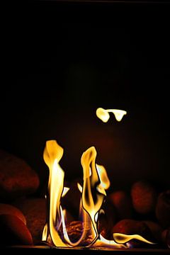 "Harmony of Flames" by Simone Marsig